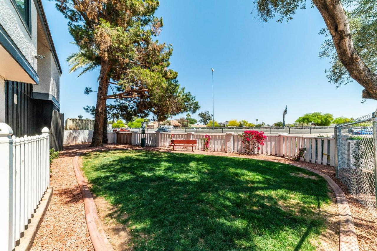 Metro Phx Studio Full Kitchen Long Term Discounts Appartement Phoenix Buitenkant foto